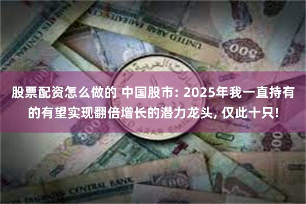 股票配资怎么做的 中国股市: 2025年我一直持有的有望实现翻倍增长的潜力龙头, 仅此十只!