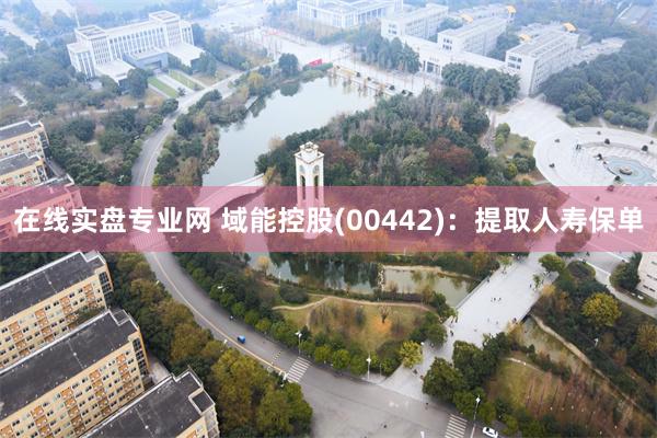 在线实盘专业网 域能控股(00442)：提取人寿保单