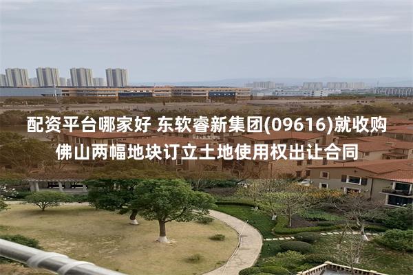配资平台哪家好 东软睿新集团(09616)就收购佛山两幅地块订立土地使用权出让合同
