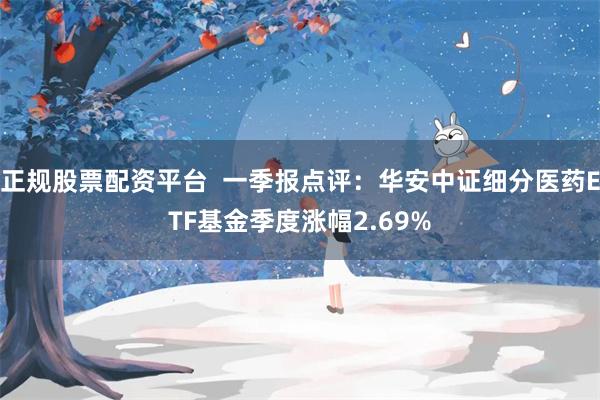 正规股票配资平台  一季报点评：华安中证细分医药ETF基金季度涨幅2.69%