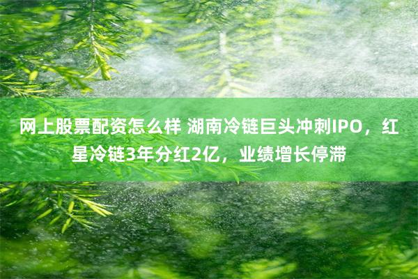 网上股票配资怎么样 湖南冷链巨头冲刺IPO，红星冷链3年分红2亿，业绩增长停滞