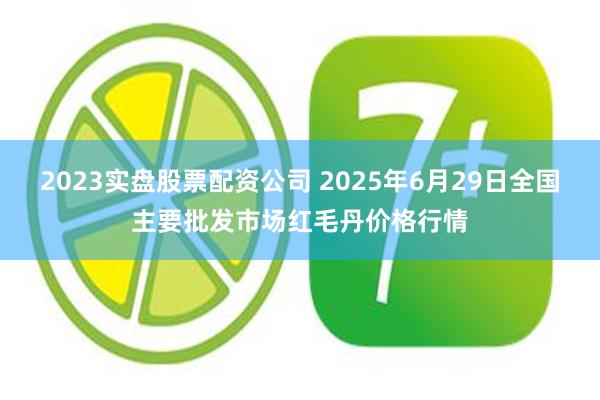 2023实盘股票配资公司 2025年6月29日全国主要批发市场红毛丹价格行情