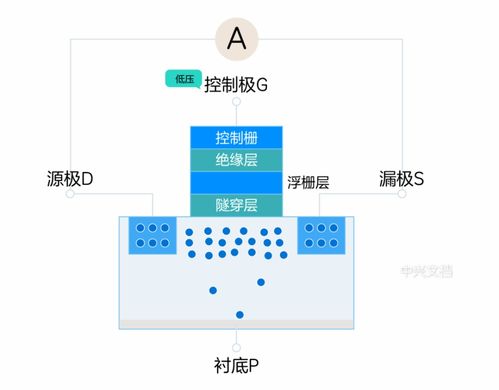 固態硬盤為何如此神速？深入解析數據處理與存儲的秘密